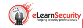 Elearnsecurity