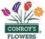 Conroys Flowers Cypress