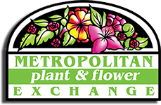 Metropolitan Plant Exchange