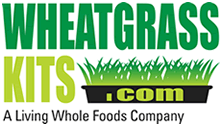 Wheatgrass Kits