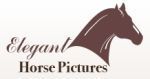 Elegant Horse Pictures