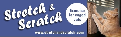 Stretch and Scratch