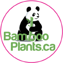 BambooPlants.ca
