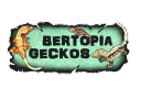 Bertopia Geckos
