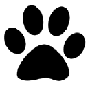 EquiGroomer