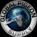 Global Pigeon Supply