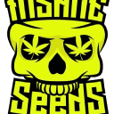 Insane Seeds
