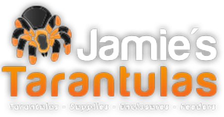 Jamie's Tarantulas