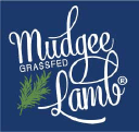 Mudgee Lamb