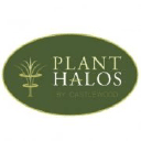 Plant Halo