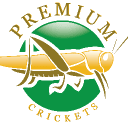 Premium Crickets
