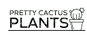 Pretty Cactus