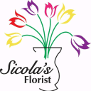 Sicola's Florist