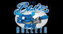 The Blue Bullets