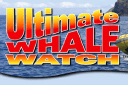 ultimate whale watch