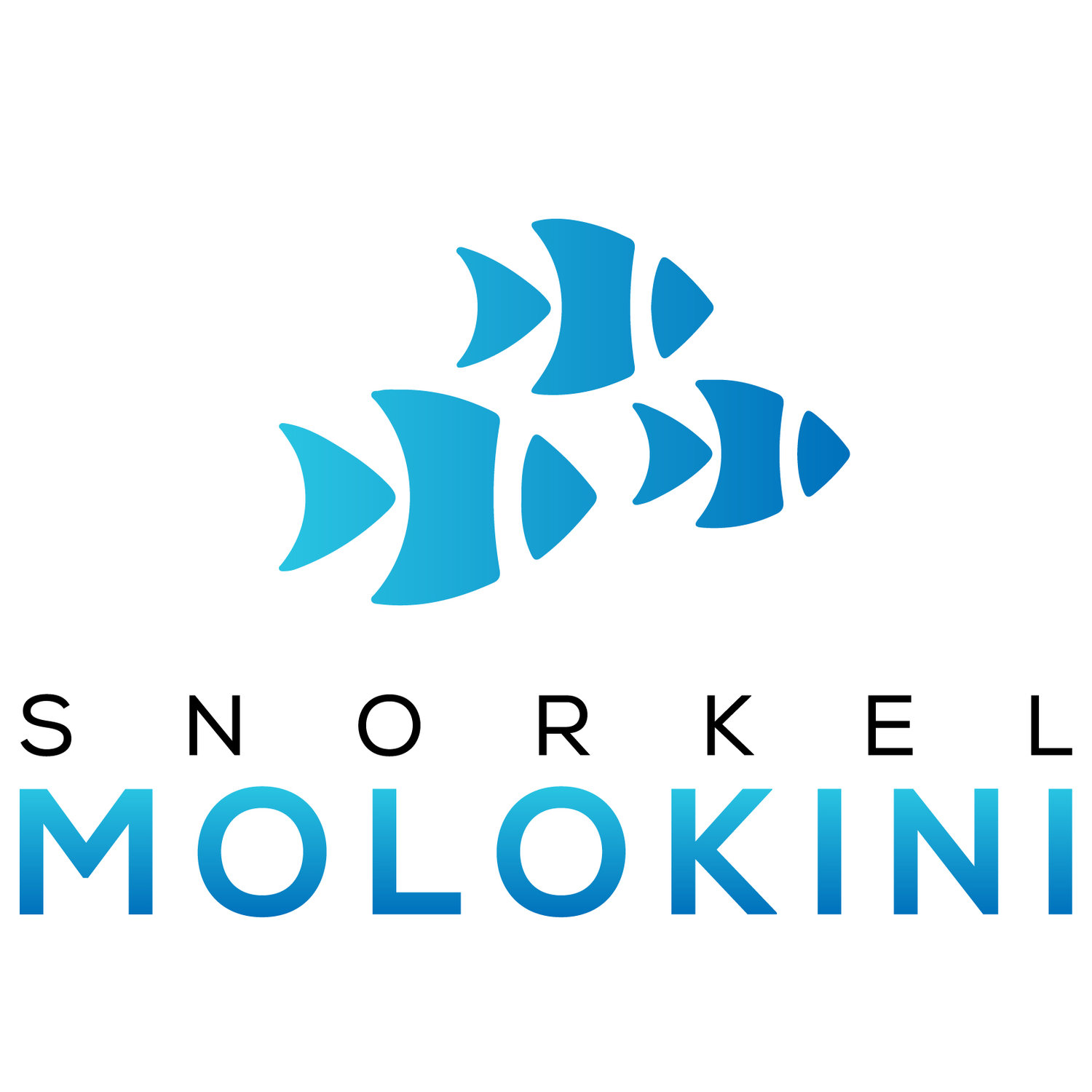 Snorkelmolokini