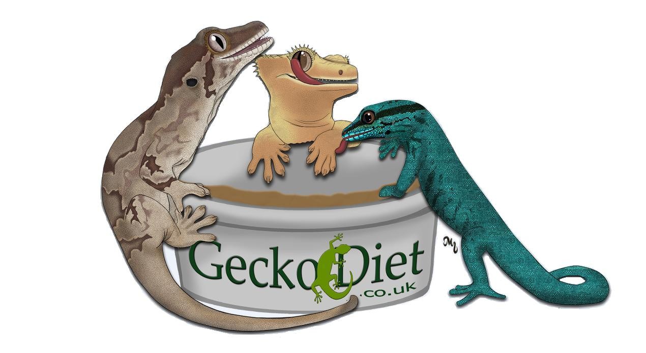 Gecko Diet