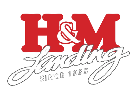 H&M Landing
