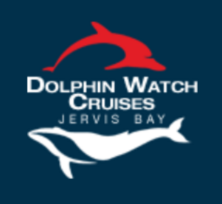 Dolphin Watch