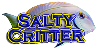 Salty Critter