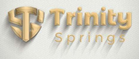 Trinity Springs