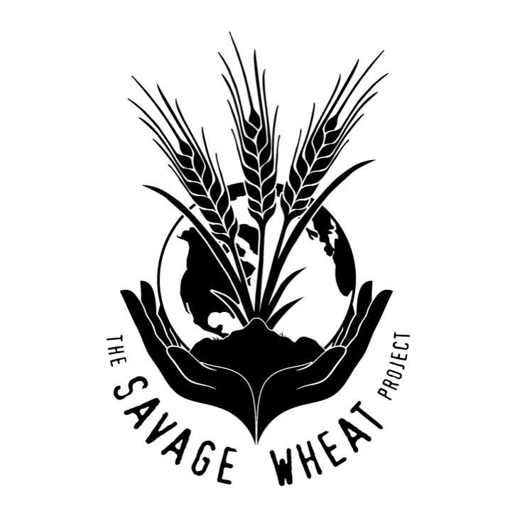 Savage Wheat