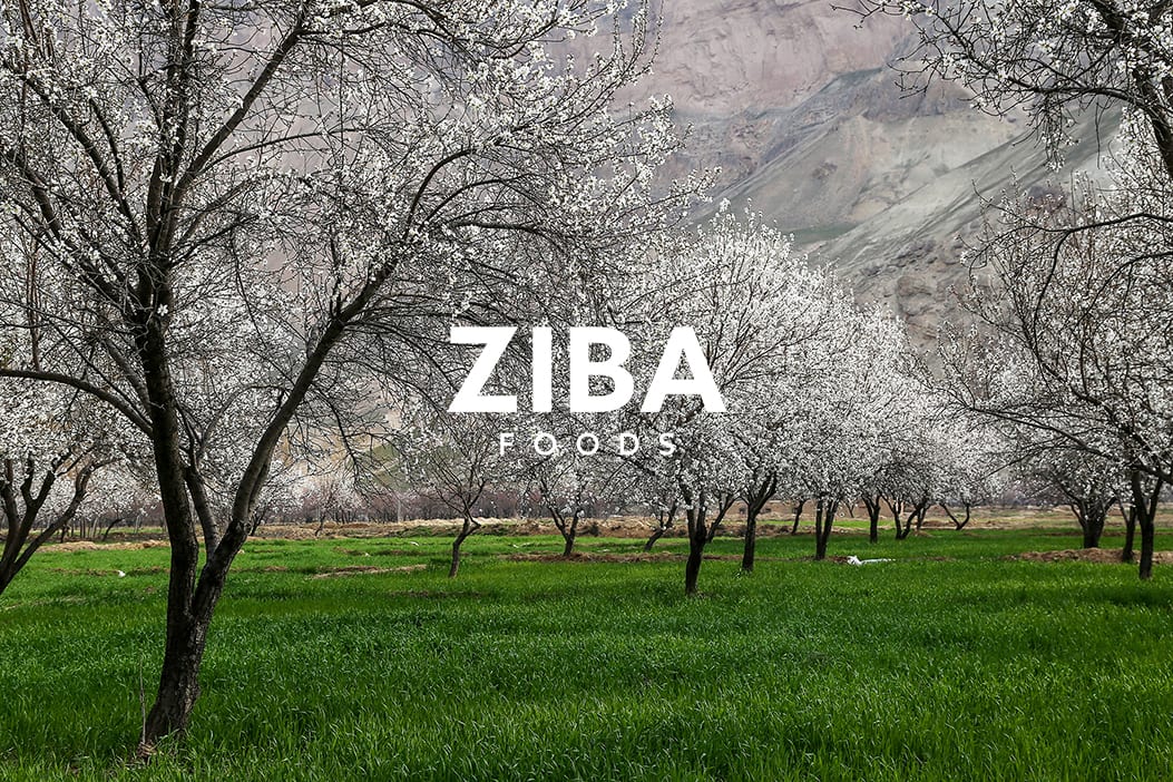 Ziba Foods