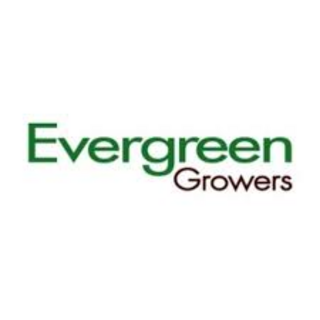 Evergreen Growers