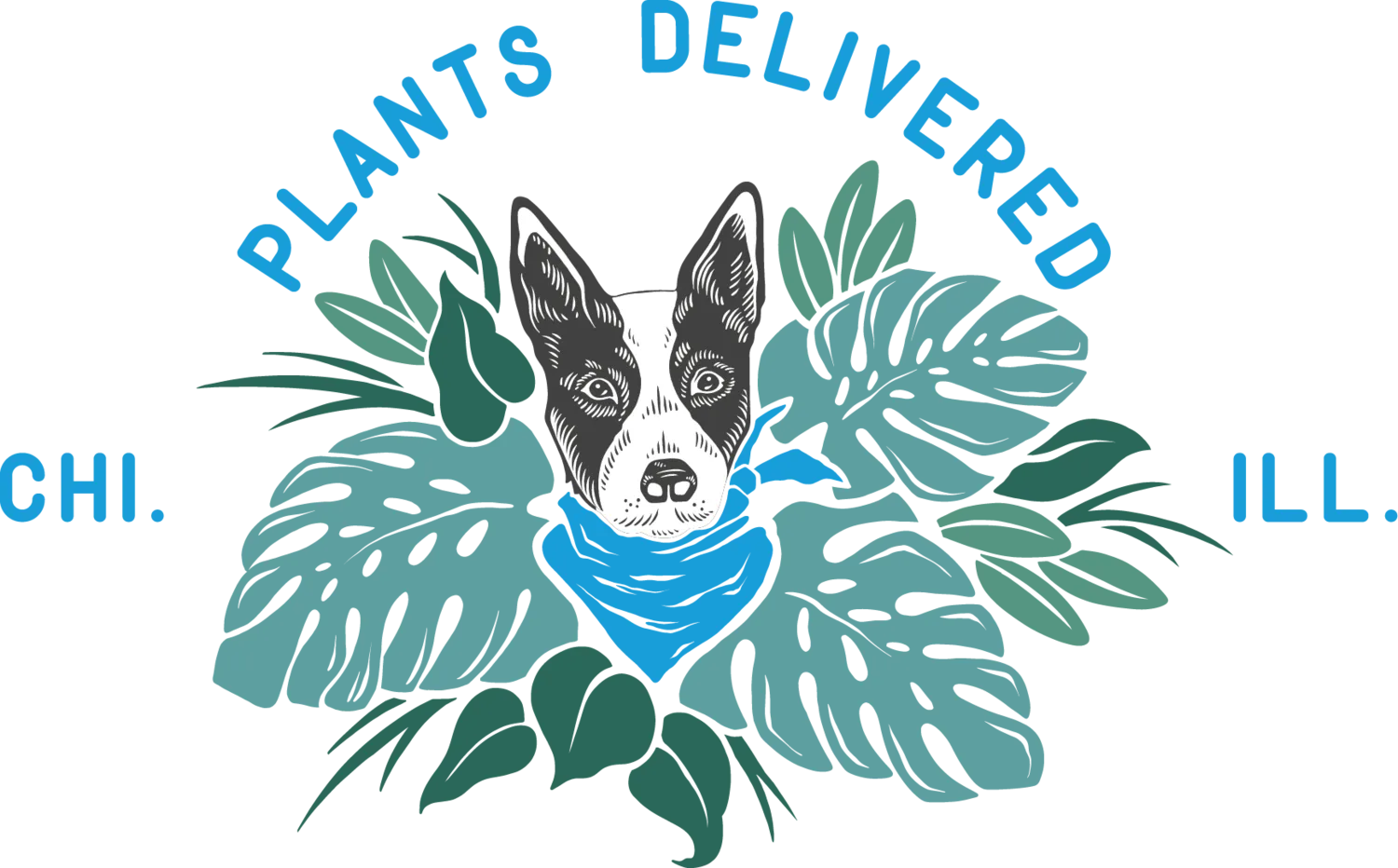 Plants Delivered Chicago