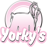 Yorky's