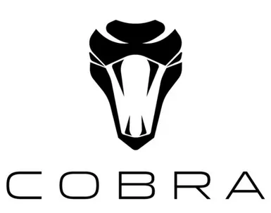 Cobra Cricket