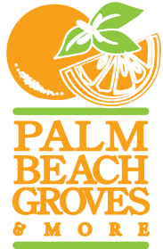 Palm Beach Groves