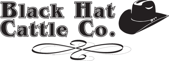 Black Hat Cattle Company