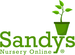Sandys Nursery Online