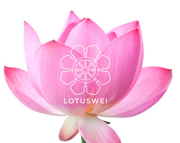 Lotus Wei