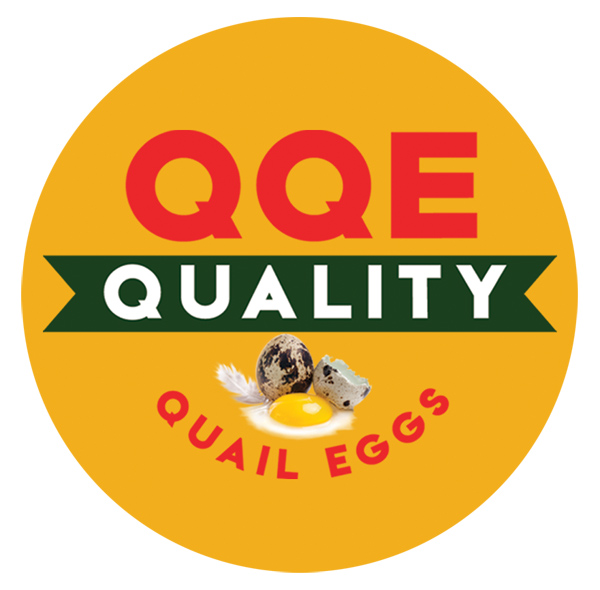 Fresh Quail Eggs
