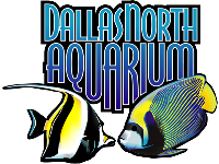 Dallas North Aquarium