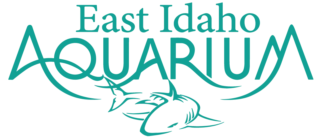 East Idaho Aquarium