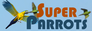 Super Parrots