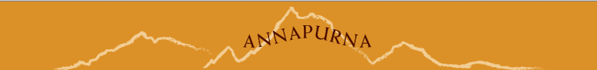 Annapurna Cafe