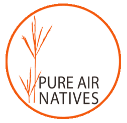 Pure Air Natives