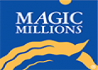 Magic Millions