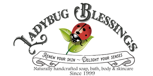 Ladybug Blessings