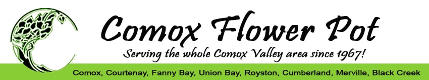 Comox Flower Pot