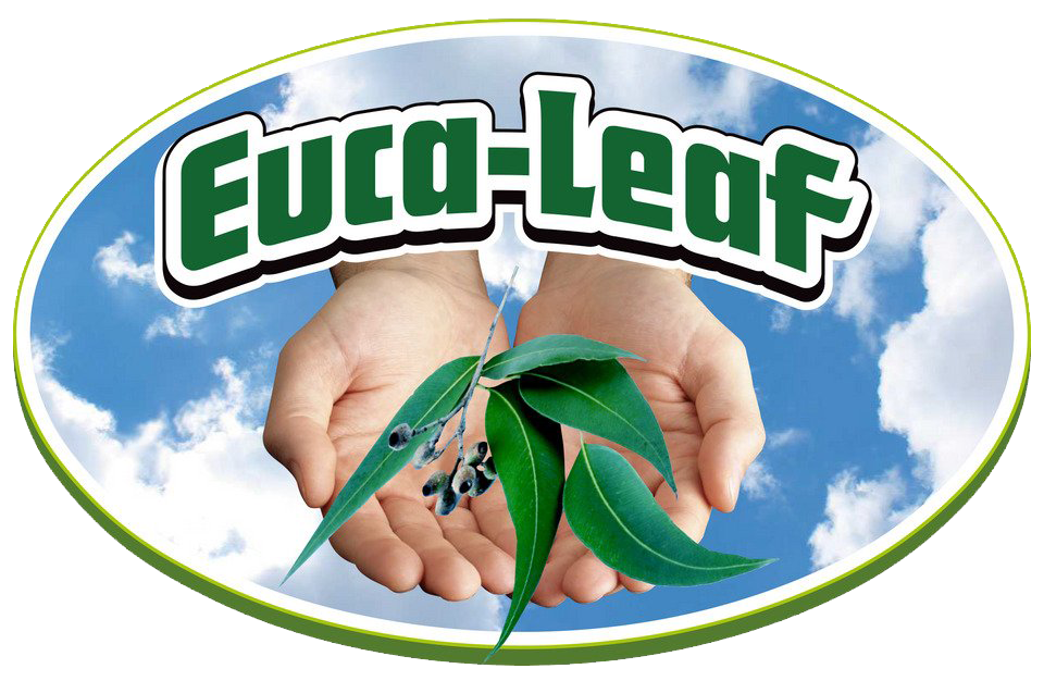 Euca Leaf