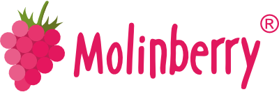 Molinberry Flavours