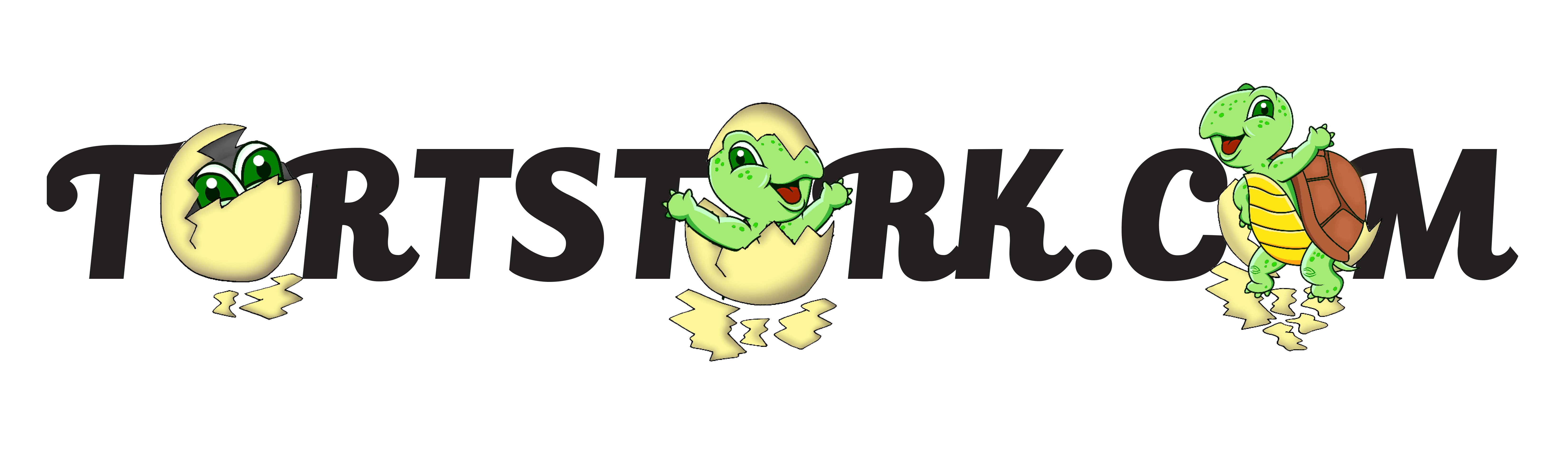 TortStork