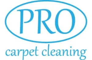 Pro Carpet Cleaning