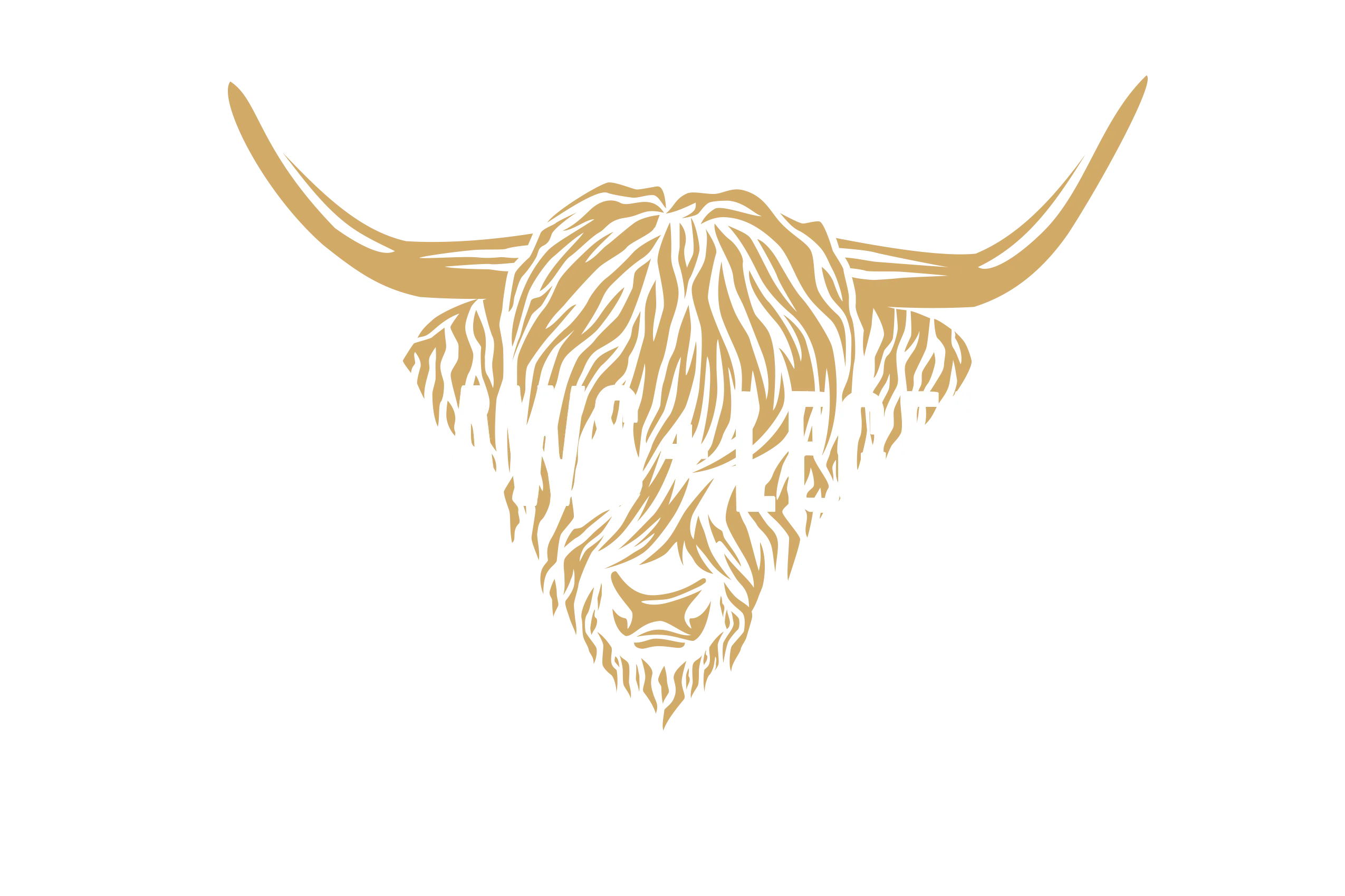 Outlaws and Legends