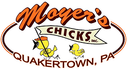 Moyer's Chicks